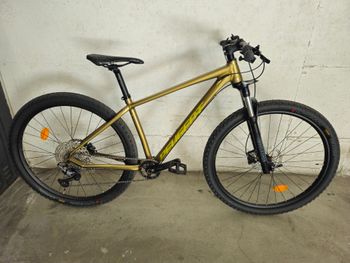 Used Peugeot M02 Deore 12V 29" 2021 2021 MTB