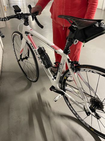 Käytetty Eddy Merckx EFX CL+240 2014 2014 Road & Gravel — kuva 2 / 14