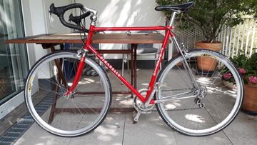 Pinarello Gavia 1996 1996 Road & Gravel usato