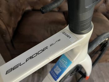Used Berria BELADOR ELITE 105 2025 2025 Road & Gravel, White — image 5 of 21