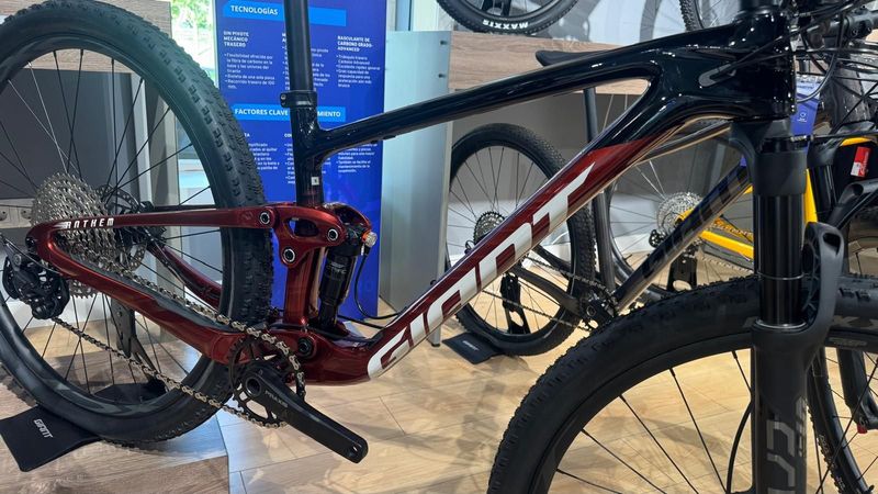 Giant Anthem Advanced 29 4 2025 Frameset 2025 Mountainbike d'occasion — image 1 sur 3
