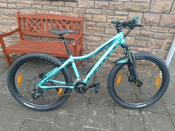 Gebrauchtes Scott Contessa 2020 Mountainbike, Grün — Bild 2 von 12