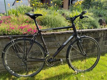 Used Radon Skill 9.0 XL Touren-/Gravel-/Fitnessbike Ultegra 2017 2017 Road & Gravel