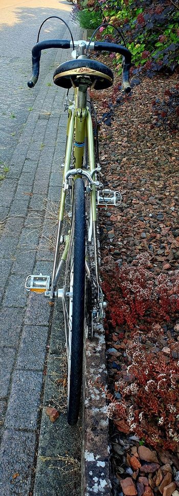 Used Koga miyata gent's racer s Custom Shimano 600 1979 Road & Gravel, Orange — image 25 of 26