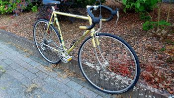 Used Koga miyata gent's racer s Custom Shimano 600 1979 Road & Gravel, Orange — image 23 of 26