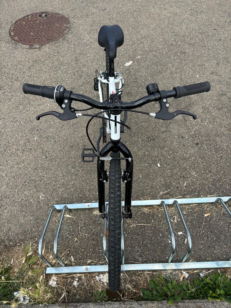 ROCKRIDER Custom Shimano Dura Ace Di2 2020 Mountainbike d'occasion — image 8 sur 12