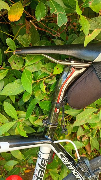 Used Cannondale Dura Ace 10v 2012 2012 Road & Gravel, White — image 2 of 3