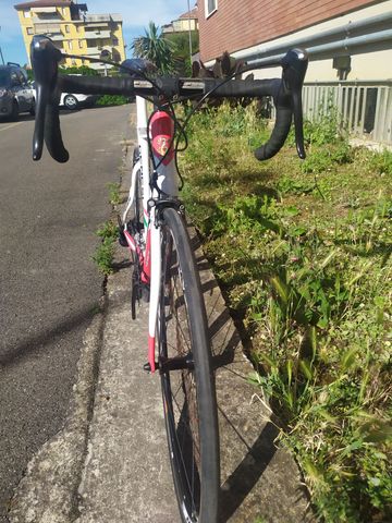 Used Formigli Genesi 2011 Road & Gravel, White — image 2 of 6