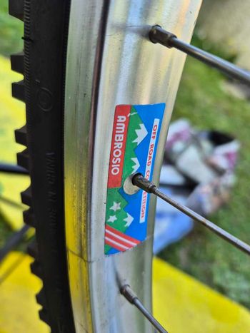 Used Moser Mountain Bike Anno 1989 1989 Mountainbike, Green — image 5 of 11
