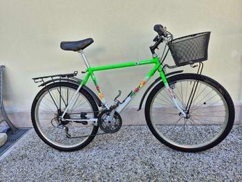 Used Moser Mountain Bike Anno 1989 1989 MTB