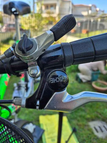 Used Moser Mountain Bike Anno 1989 1989 Mountainbike, Green — image 9 of 11
