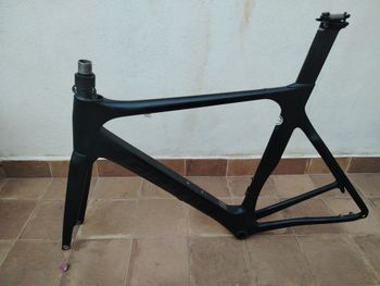 Gebrauchtes Giant Propel Advanced 1 Disc 2021 Frameset 2021 Road & Gravel
