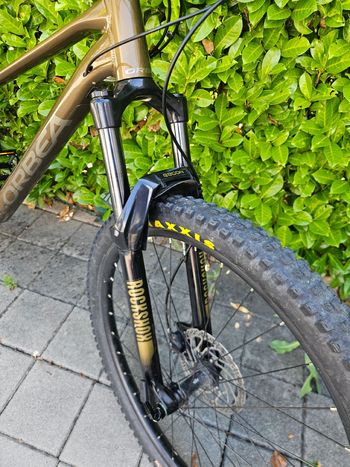 Used Orbea LAUFEY H30 2024 2024 Mountainbike, Orange, 29 — image 4 of 16