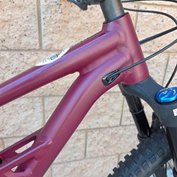 Used Specialized Status 140 2022 2022 Mountainbike, Red, 29, 27.5 — image 4 of 27