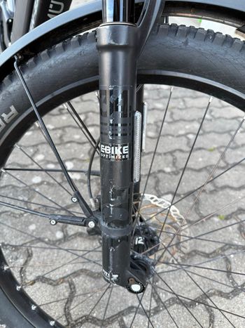 Used Riese & Müller Delite Rohloff Speedhub 2019 Urban, Light Gray — image 8 of 9