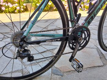 Bianchi Sempre pro Other Campagnolo 2013 Road & Gravel d'occasion — image 7 sur 8