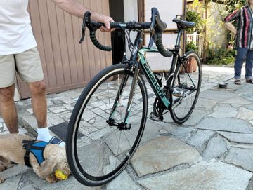 Używany Bianchi Sempre pro Other Campagnolo 2013 Road & Gravel