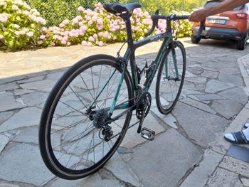 Bianchi Sempre pro Other Campagnolo 2013 Road & Gravel d'occasion — image 2 sur 8