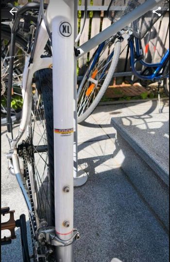 Used Focus Mares AX Tiagra 2016 Road & Gravel, White — image 3 of 7