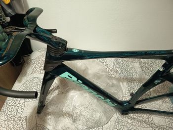 Used Bianchi Oltre Frameset 2026 Road & Gravel, Green — image 7 of 12
