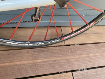 Gebrauchtes Pinarello PRINCE 2009 Road & Gravel, Weiß — Bild 9 von 9