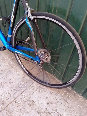 Used Pinarello Onda Galileo 2006 Road & Gravel, Black — image 4 of 4