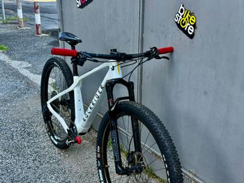 ROCKRIDER RACE 900 Custom 2024 2024 Mountainbike d'occasion — image 3 sur 4