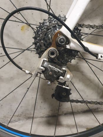 Pinarello Prince Campagnolo Record 2018 Road & Gravel d'occasion — image 3 sur 4