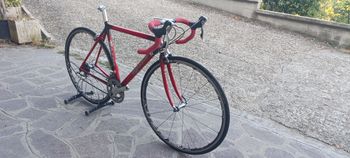 Used Rossin Evolution 2004 2004 Road & Gravel, Red — image 2 of 12