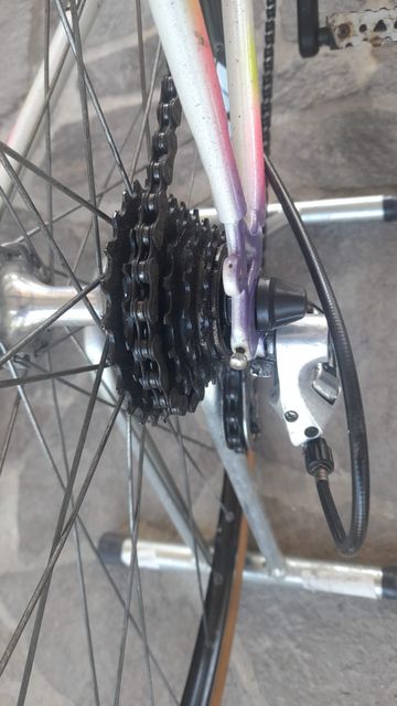 Used Cicli Adriatica Custom Other Shimano 1980 Road & Gravel, White — image 5 of 6