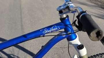 ns bikes Eccentric Cromo 29", 2017 2017 Mountainbike usato, Blu — immagine 3 di 4