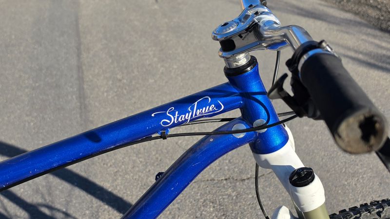 ns bikes Eccentric Cromo 29", 2017 2017 Mountainbike usato, Blu — immagine 3 di 4