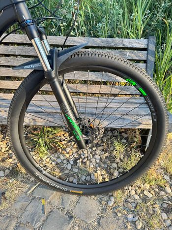 Used CUBE ANALOG 2019 2019 Mountainbike, Black, 27.5, 29 — image 6 of 6