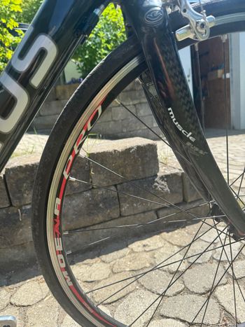 Used Fokus Custom Campagnolo Chorus 2010 Road & Gravel, Black — image 7 of 9