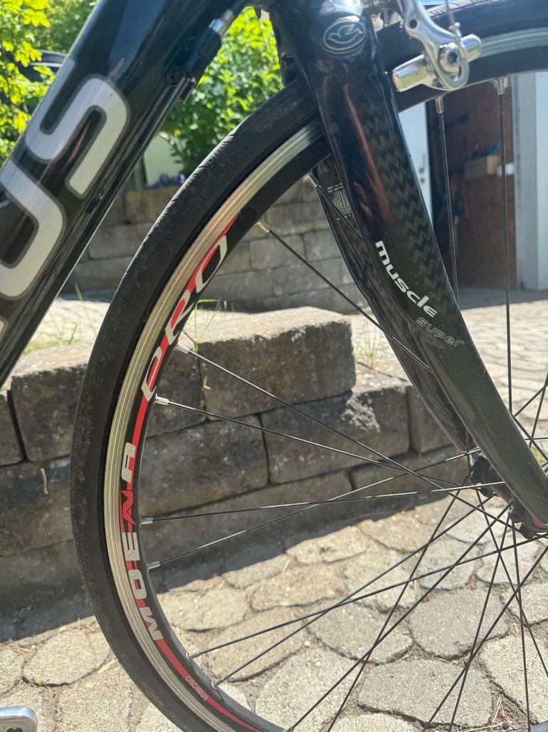 Used Fokus Custom Campagnolo Chorus 2010 Road & Gravel, Black — image 7 of 9