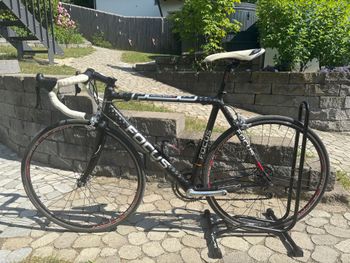 Used Fokus Custom Campagnolo Chorus 2010 Road & Gravel, Black — image 2 of 9