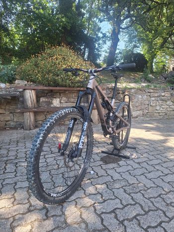 Used Commencal META SX V5 ESSENTIAL 2023 2023 Mountainbike, Light Gray — image 3 of 4
