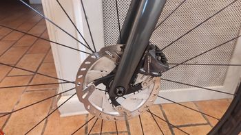 Used Trek Émonda SL 6 Disc Pro 2022 2022 Road & Gravel, Light Gray — image 5 of 14