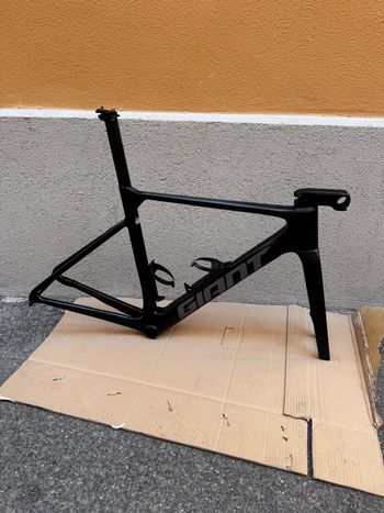 Gebrauchtes Giant Propel Advanced Pro Frameset 2024 Frameset 2024 Road & Gravel