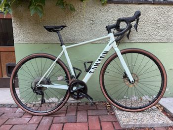 Used Canyon Endurace 7 2024 2024 Road & Gravel, Green — image 3 of 21