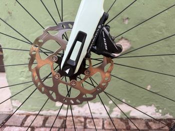 Used Canyon Endurace 7 2024 2024 Road & Gravel, Green — image 11 of 21