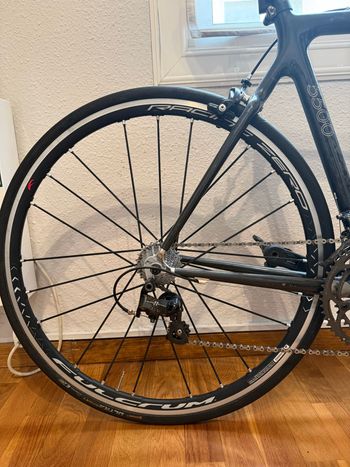 Used Trek Custom Campagnolo Super Record 2010 Road & Gravel, Black — image 4 of 5