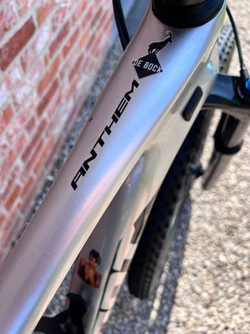Brugt Giant Anthem Advanced Pro 29 1 2019 2019 Mountainbike — billede 16 af 29