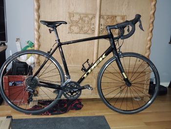 Used Trek Domane AL 2 2024 2024 Road & Gravel