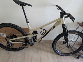 Used Propain TYEE 6 CF Price2Ride 2024 2024 MTB