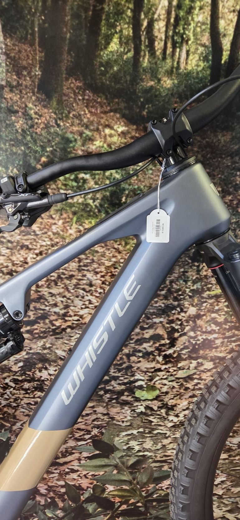 Used Whistle AXR 8.6 2026 Mountainbike, Light Gray — image 3 of 7