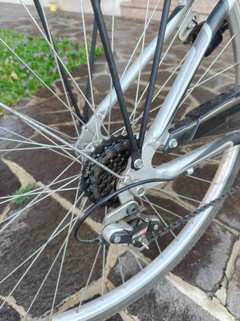 Used nuzzi Tecnobike 2019 Urban, Light Gray — image 2 of 3