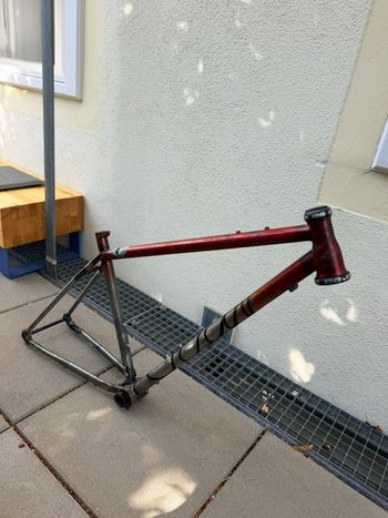 Used Sour Bicycles Sour Pasta Party Rahmenset 2023 | Custom Lackierung | Chris King & Rotor DUB Frameset 2023 MTB