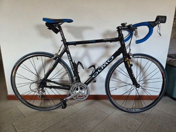 Used Olmo Custom Campagnolo Veloce 2010 Road & Gravel