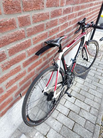 Used Eddy Merckx EMX-1 Campagnolo Veloce 2 X 10 2017 Road & Gravel, White — image 4 of 7